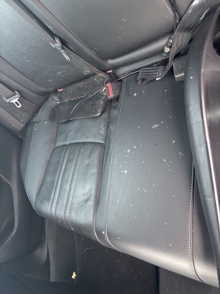 2021 Honda Accord Sport Special Edition