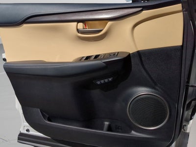 2021 Lexus NX 300 Base Premium Package