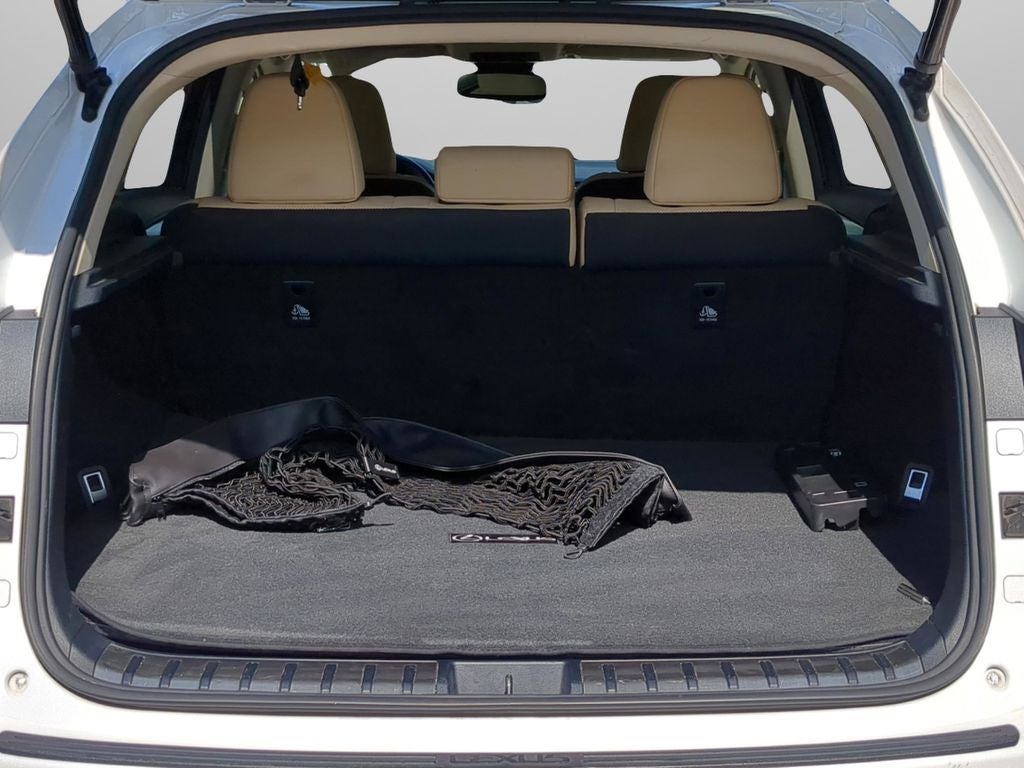 2021 Lexus NX 300 Base Premium Package