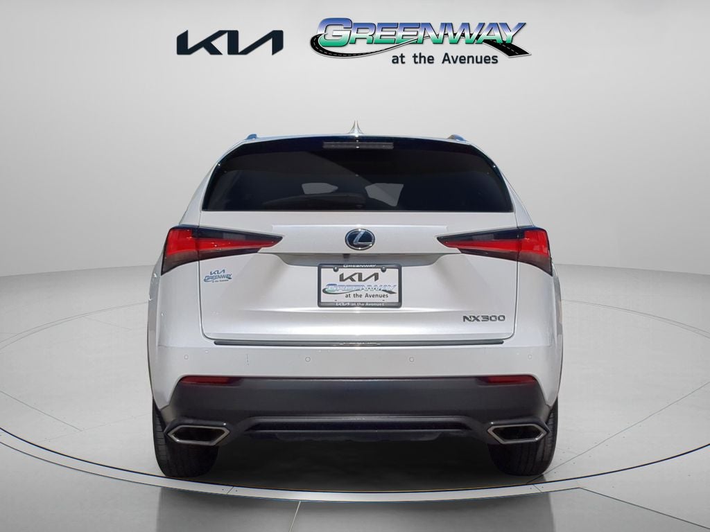 2021 Lexus NX 300 Base Premium Package